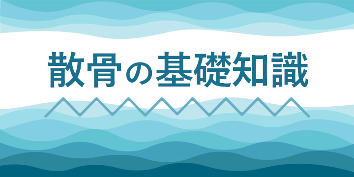 遺骨業者の散骨の基礎知識