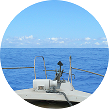 海洋葬業者の流れにおける出港