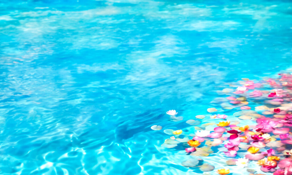 散骨の方法・種類について