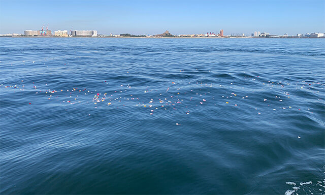 東京湾での海洋散骨の様子