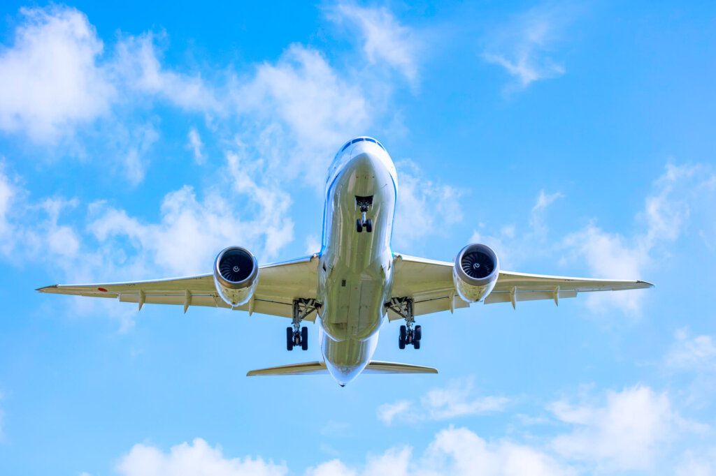 海外で散骨を行うための基本手続き