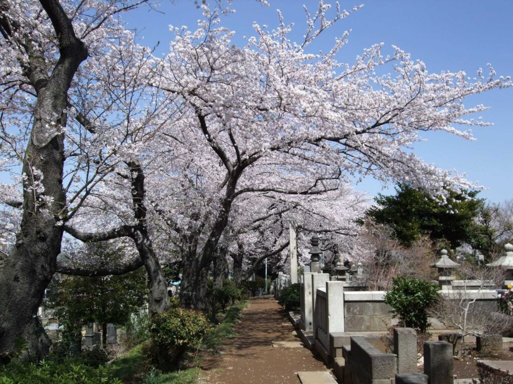 施設変更制度が利用できる都立霊園一覧