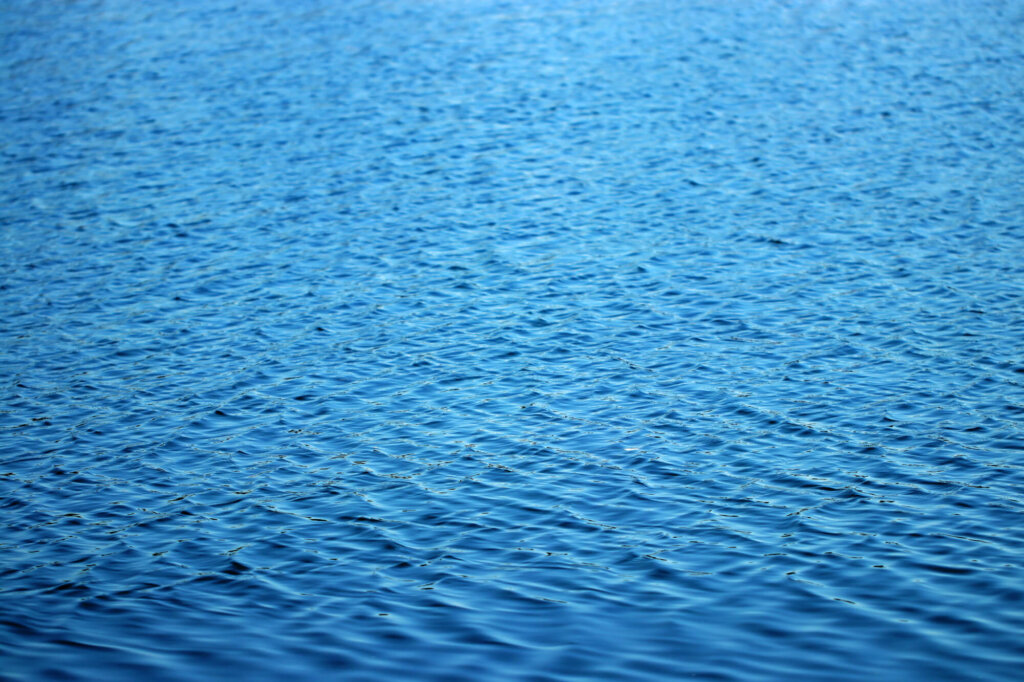 注目を集めている供養の方法、散骨とは何か