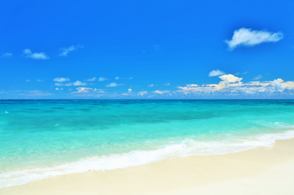 海洋散骨の仕事に向いている人の特徴